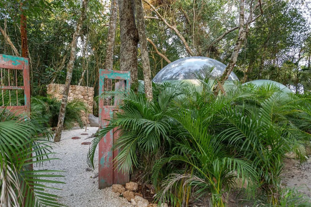 Hotel Oom Bubble Boutique (Adults Only) Puerto Morelos