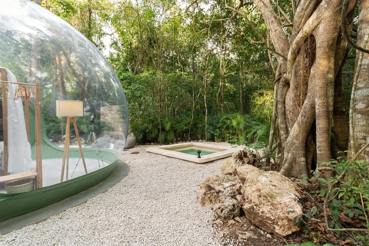 Hotel Oom Bubble Boutique (Adults Only) Puerto Morelos