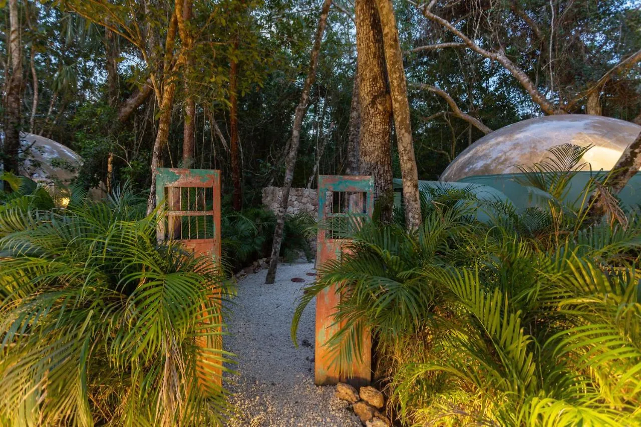 Hotel Oom Bubble Boutique (Adults Only) Puerto Morelos